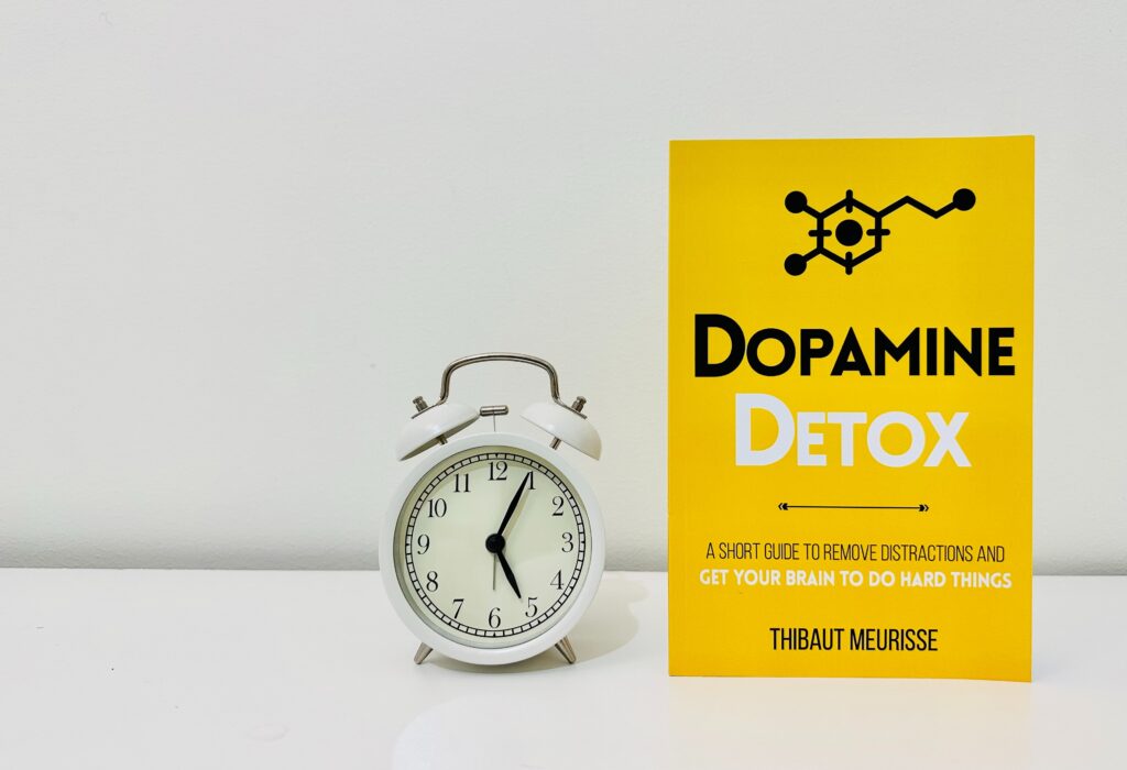 Dopamine Detox Book